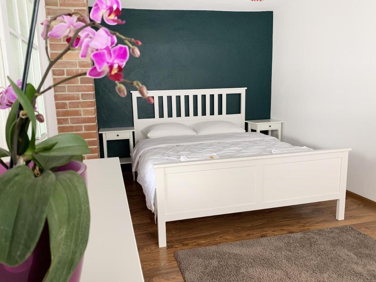 Casuta Fulgu - Sa Te Simti Ca Acasa! Villa Borsa  Ngoại thất bức ảnh