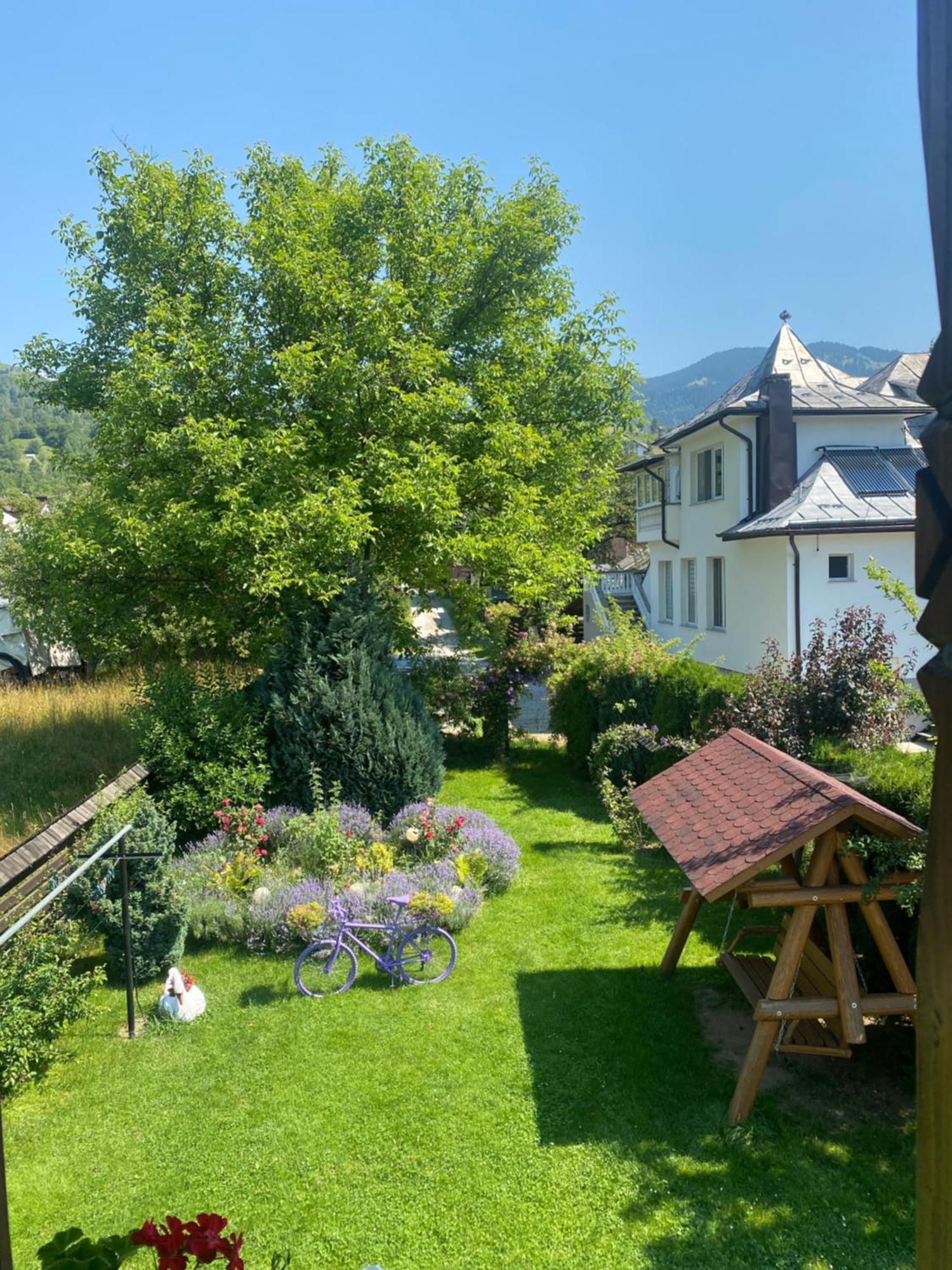 Casuta Fulgu - Sa Te Simti Ca Acasa! Villa Borsa  Ngoại thất bức ảnh